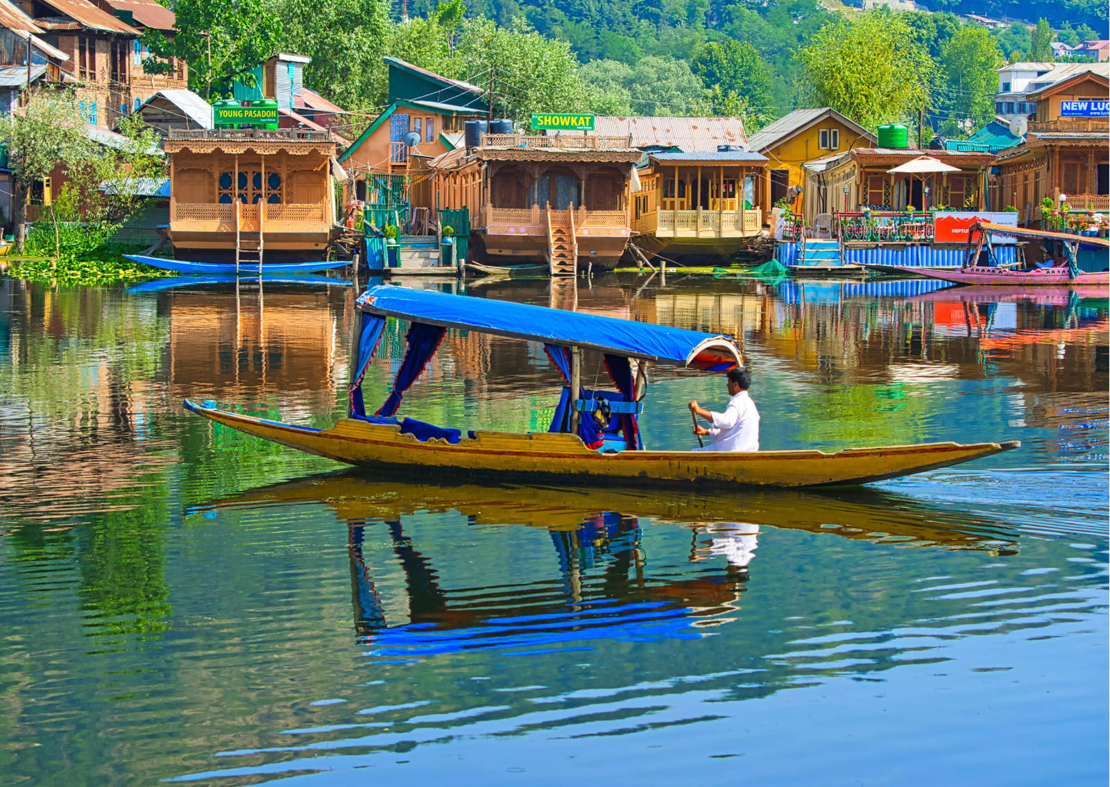 Dal Lake, Shikara Boat Ride