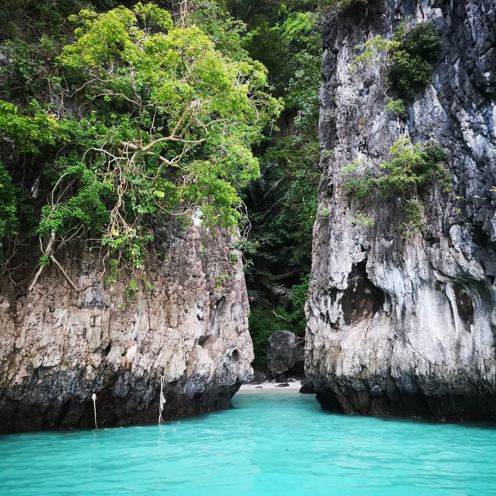 Day 5 – Return to Port Blair